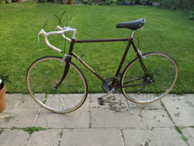 dawes fox touring bike